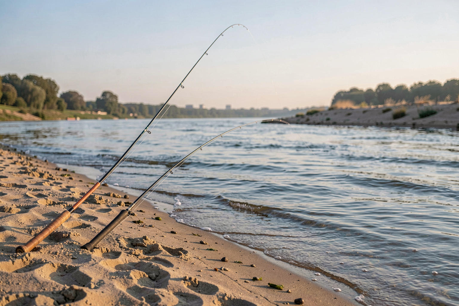 A sandy riverbank on the Loire at first light, a fishing rod bent toward the downstream current, a sandbank visible to the right, soft blue morning light, wide shot.